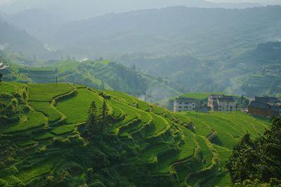 Scenic view of agricultural field and mountains