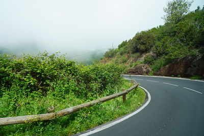 Road amidst trees against sky