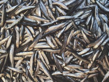 Full frame shot of firewood