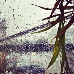 Close-up of rain drops on glass window