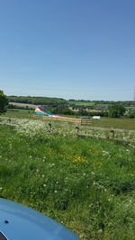 Scenic view of field against clear sky