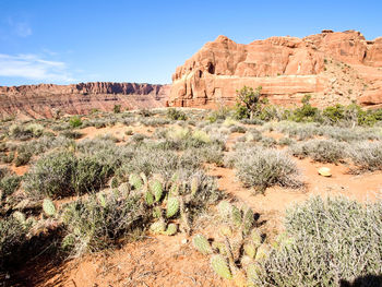 View of rock formations