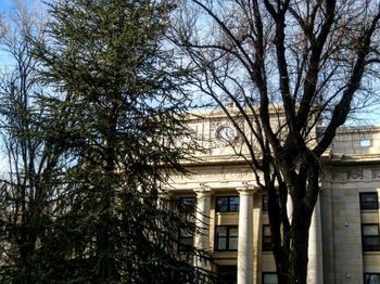 Low angle view of bare trees against building