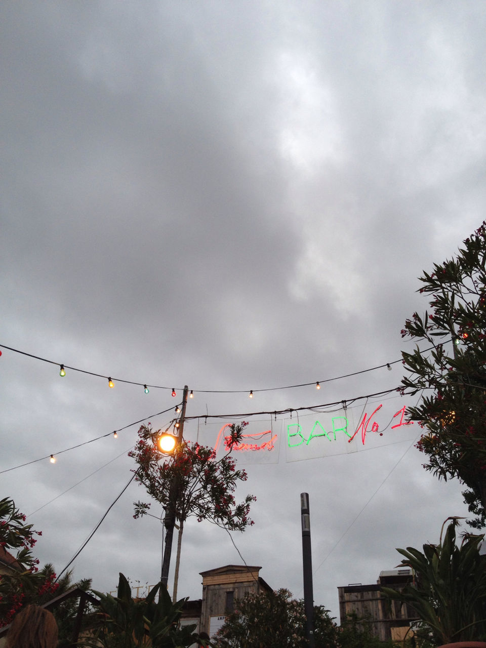 low angle view, sky, cloud - sky, tree, cloudy, power line, built structure, architecture, cable, building exterior, connection, cloud, electricity, bird, overcast, street light, silhouette, electricity pylon, outdoors, high section