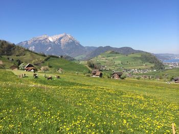 Scenic view of green landscape against clear sky