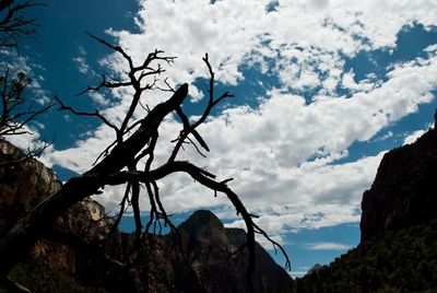 Low angle view of silhouette tree against sky
