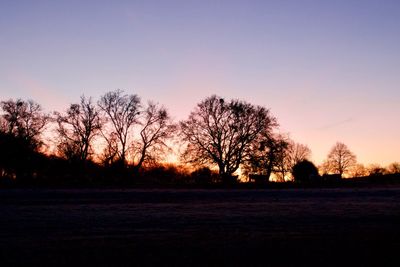 Silhouette trees on field against clear sky during sunset