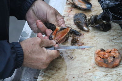 Close-up of hand holding fish