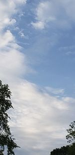 Low angle view of trees against cloudy sky