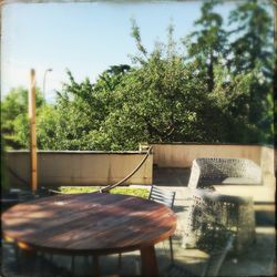 Potted plants on tree trunk