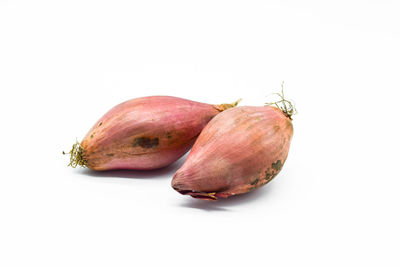 Close-up of fruits against white background