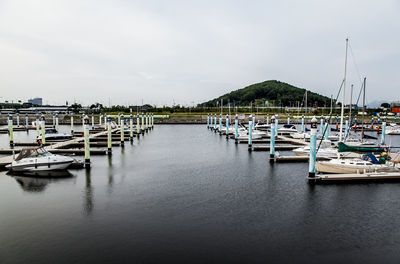 Boats in harbor