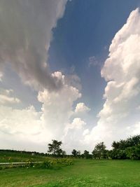 Trees on grassy field against cloudy sky