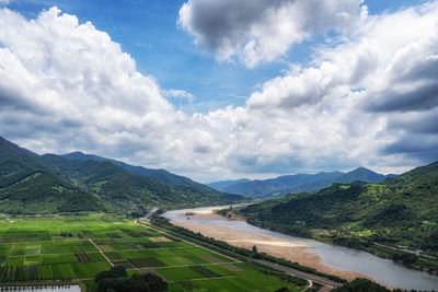 The view of seomjingang river and rice paddies with couple pine trees in hadong, south korea. 