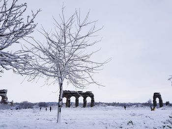 Bare tree on snow covered field against sky