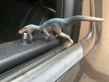 Close-up of lizard on metal grate