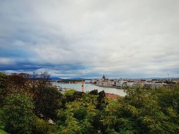 Plants and bridge over river in city against sky