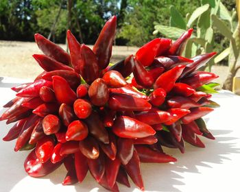 Close-up of red cherries