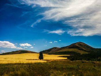 Scenic view of field against sky