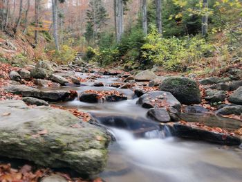 Stream flowing through rocks in forest