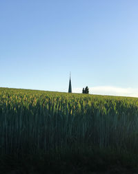 Scenic view of agricultural field against clear sky