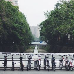 Bicycles parked on bridge over canal against trees