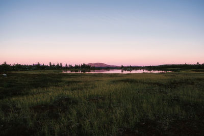 Scenic view of field against clear sky during sunset