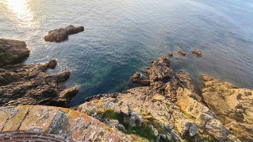 High angle view of rocks on beach