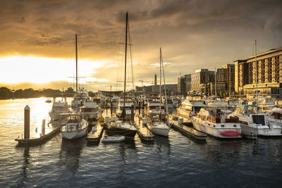 Sailboats moored at harbor during sunset