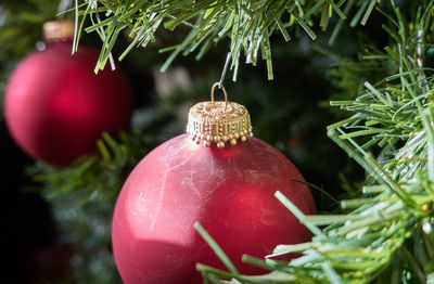 Close-up of christmas decorations on tree