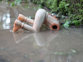 Close-up of 
a broken toy whose head was submerged in the water
