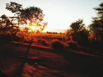 Scenic view of field against clear sky during sunset