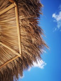 Low angle view of coconut palm tree against blue sky