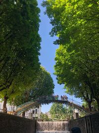 Low angle view of trees in park against sky