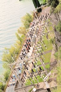 High angle view of plants by river