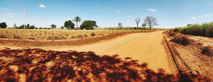 Dirt road amidst trees on field against sky