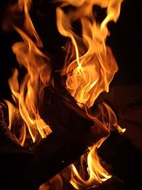 Close-up of fire burning at night