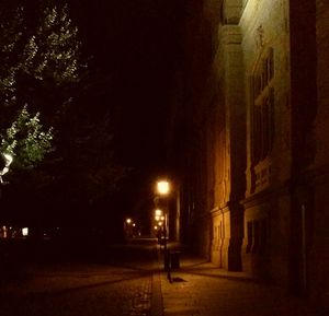 Illuminated walkway at night