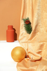 Close-up of plant on table against wall