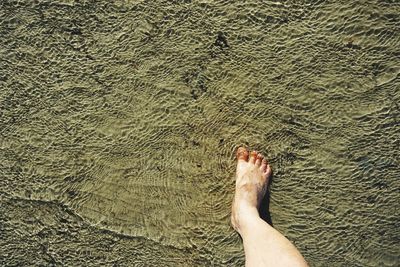 Low section of person legs on sand at beach
