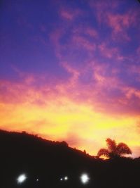 Low angle view of silhouette trees against sky during sunset