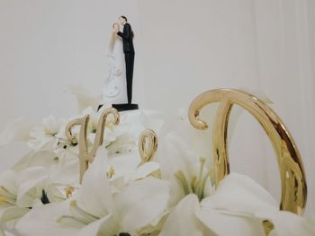 Close-up of white flowering plants at home