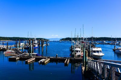 Boats moored in harbor