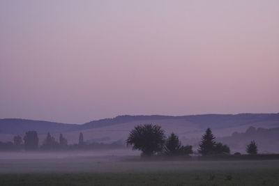 Trees on field against sky during foggy weather