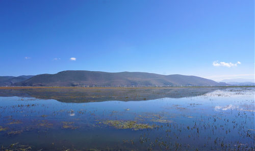 Scenic view of lake against blue sky