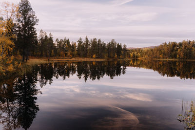 Scenic view of lake in forest against sky