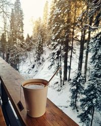 Disposable cup on table against trees during winter