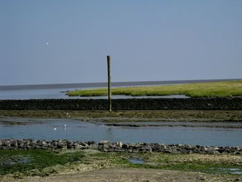 Scenic view of beach against clear sky