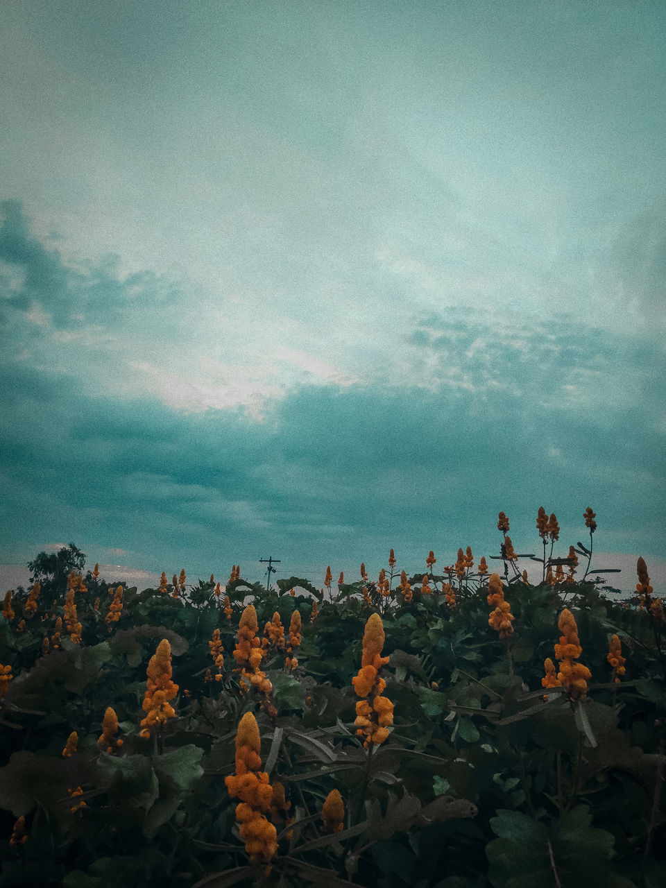 GROUP OF PEOPLE ON PLANT AGAINST SKY