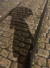 Close-up high angle view of cobblestone